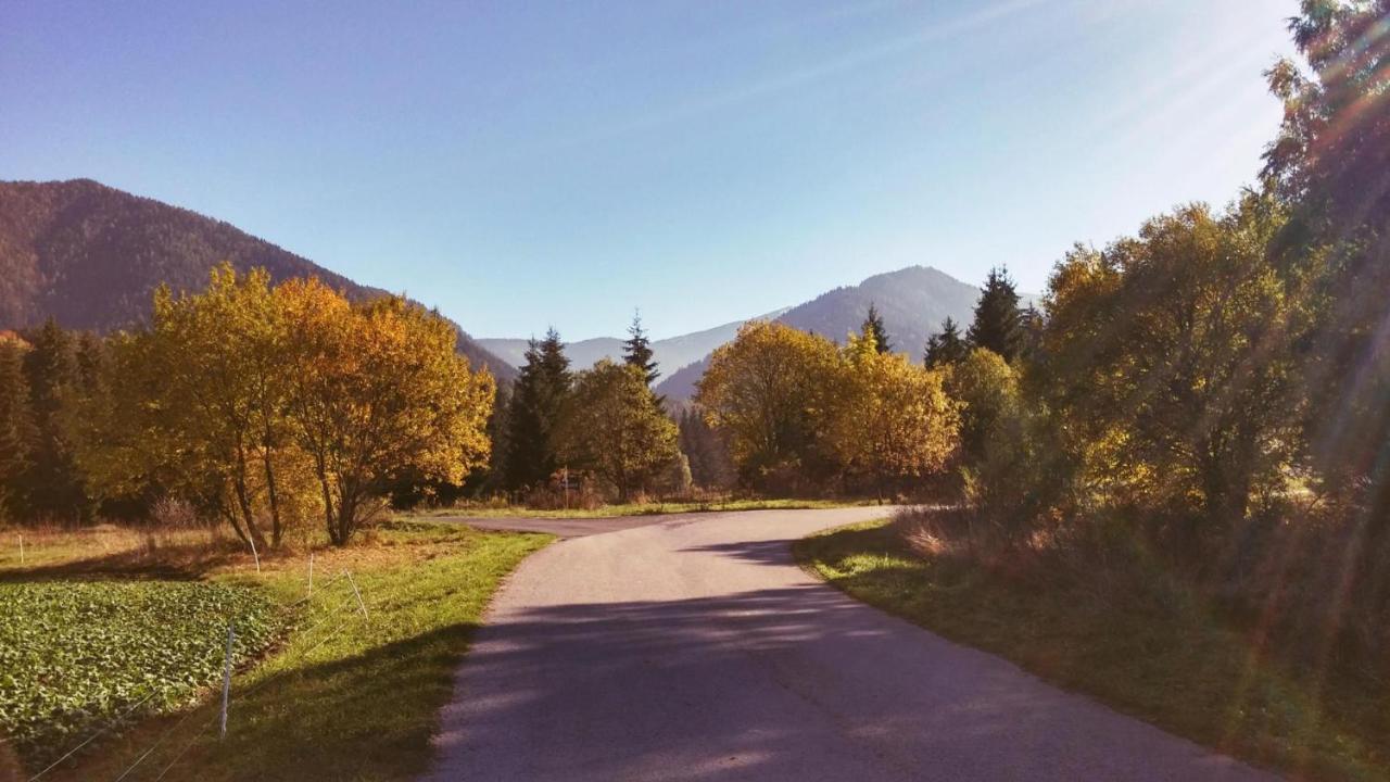 Penzion Mlynárov Dvor Dubrava Exterior foto